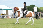 SBM_17586