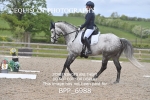 BPP_6988