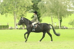 SBM_73985