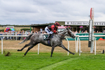Race 1 14.15pm Download The Raceday Ready App Amateur Jockeys' Handicap portfolio