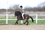 SBM_006798