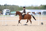 SBM_18333