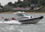 100530 PROTECTOR RIB IMG_7511