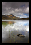 Reflective Storr