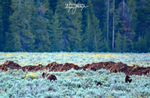 399  the Kids_7932