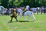 SBM_05914