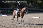 BPP_9229