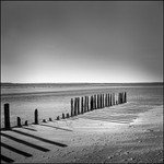 MARCH OF POSTS
