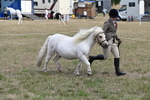 WJ6_5953