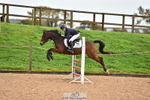 Saturday 18th - Huish Ring portfolio