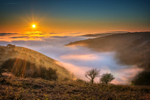 z3334 Evening Mist, Ventnor Down