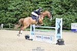 Cls 54 Foxhunter portfolio