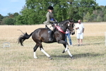 WJ7_7881