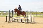 SBM_008652