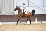 SBM_003880