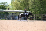 WJ6_8285