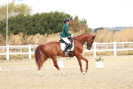 SBM_003399