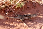 RT5B6877