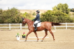 SBM_011353