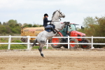 SBM_002527