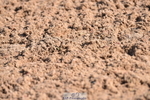 230511A-092217-00070