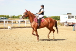 SBM_002595