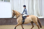 SBM_009188