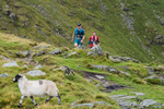 Kentmere-536