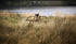 Old Plough on Loch Eli