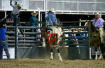 3HRodeo8-5-24_CFD_3HR-YUMA- 3396_