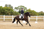 SBM_003307