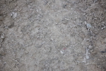 SBM_005819