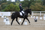 SBM_020310
