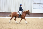 SBM_011541