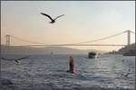 The Bosporus Bridge 3