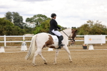 SBM_006356