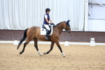 SBM_004666