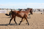 SBM_12837