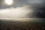 Mist Invasion by River Wye
