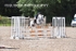 BPP_3938
