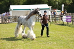 SBM_08535