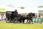 SBM_06619