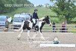 BPP_0264