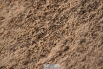 231101A-132024-00347