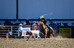 3HRodeo8-11-25_PRCASteer_01675_