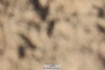 250629-174922-13770