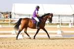 SBM_002647