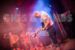 Pigsx7-97