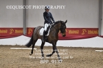 BPP_9137