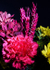 Floral2-5